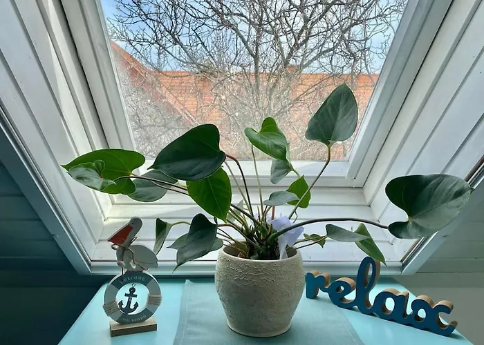 Tuende Nene Apartament Zánka