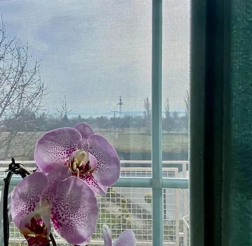 Tuende Nene Apartament